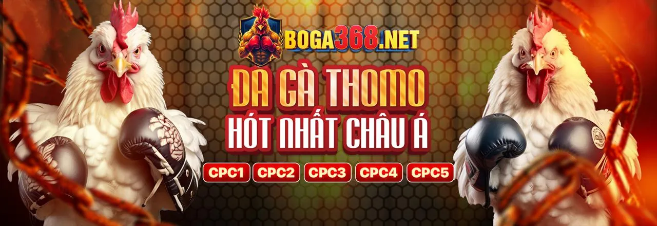 Ưu đãi đá gà K9CC
